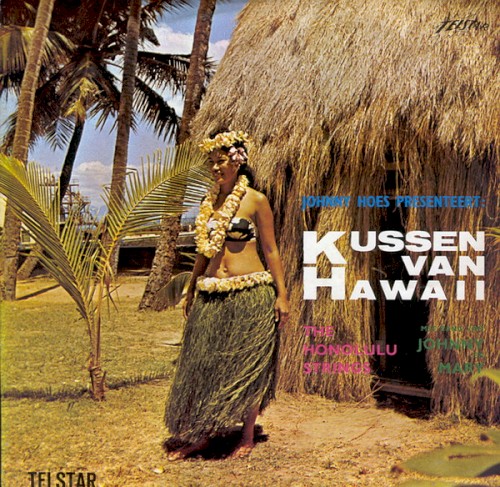 Kussen van Hawaii