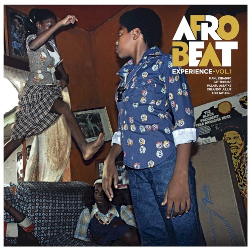 Afrobeat Experience, Vol.1