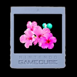 Memory Card Slot B