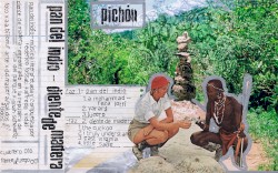 Pichón