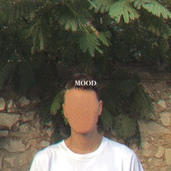 Mood