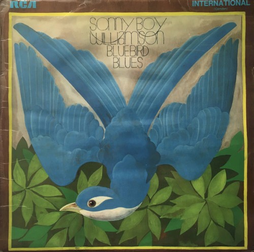 Bluebird Blues