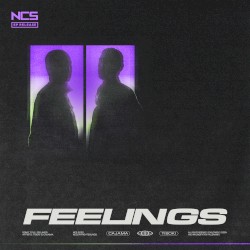 Feelings
