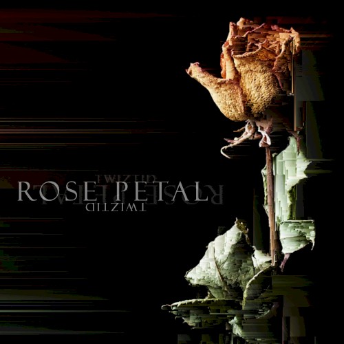 Rose Petal