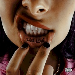 Fake Love