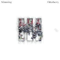 Elderberry