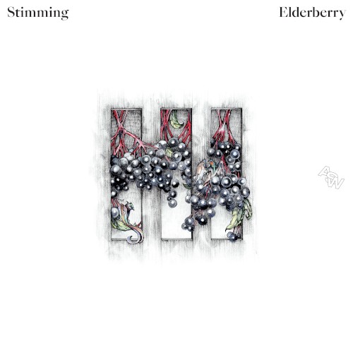 Elderberry