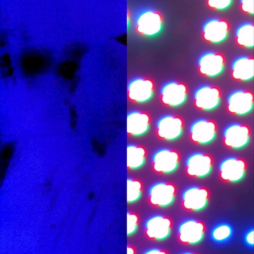 Forever (Tom VR remix)