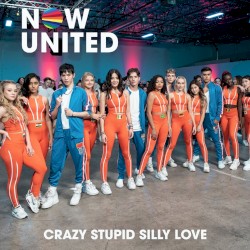Crazy Stupid Silly Love