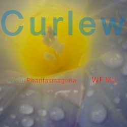 Live at Phantasmagoria and WFMU