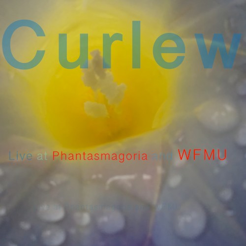 Live at Phantasmagoria and WFMU