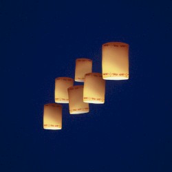 I See the Light