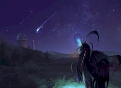 Starlight Sanctuary