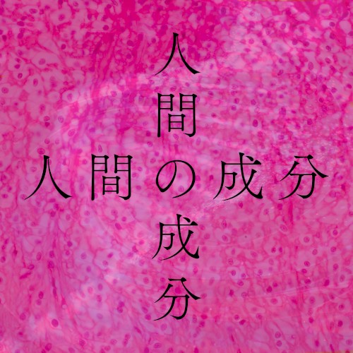 人間の成分