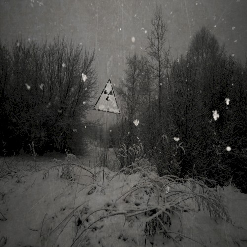 Ashen Winter of Chernobyl