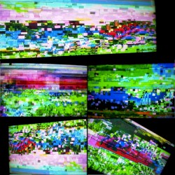 Alterities