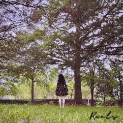 Roots