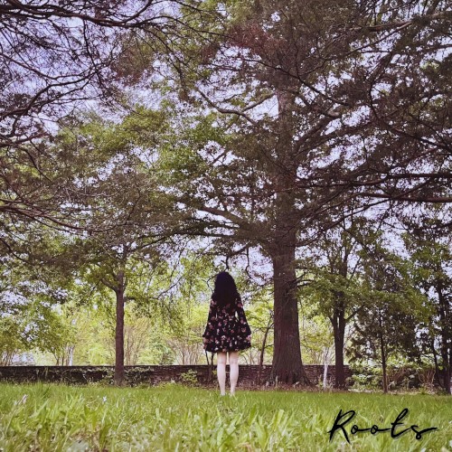 Roots
