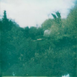 Allotment Tapes #3 - We Are All Visitors Here (with Rachel Brooke)