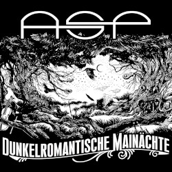Dunkelromantische Mainächte