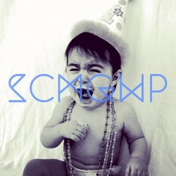 SCMGWP