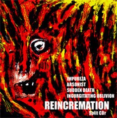 Reincremation