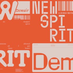 New Spirit