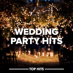 Wedding Party Hits 2023