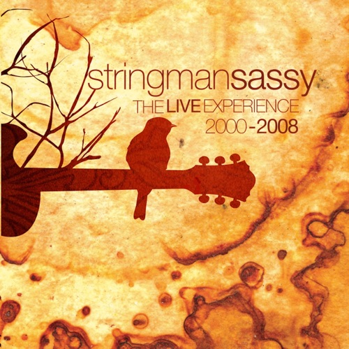The Live Experience 2000-2008