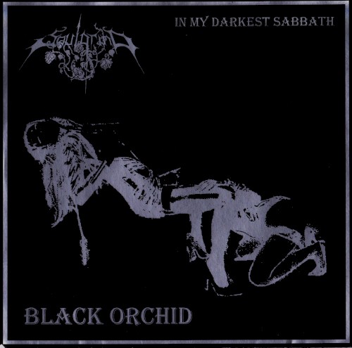 Black Orchid