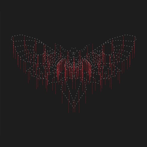 Moth