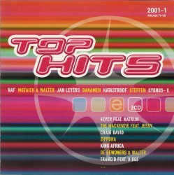 Top Hits 2001 - 1