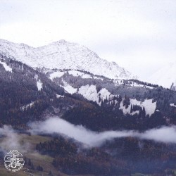 Jack Frost
