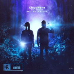 Flashlight