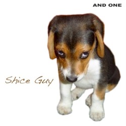 Shice Guy