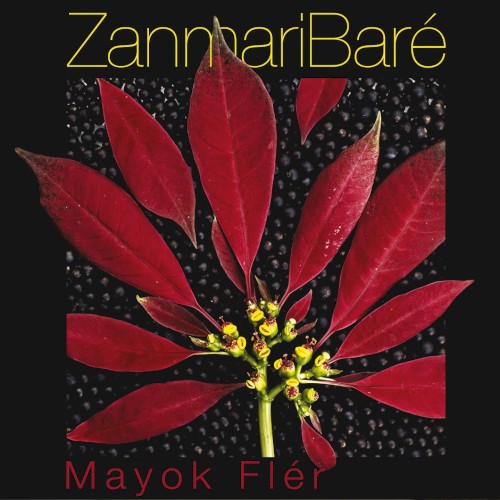 Mayok flér