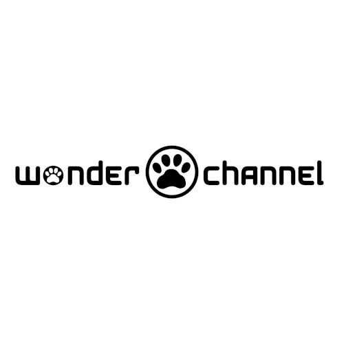 wonder chance!!!