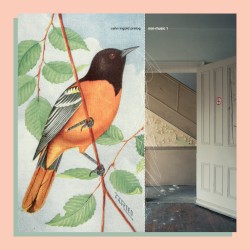 Non-Music 1