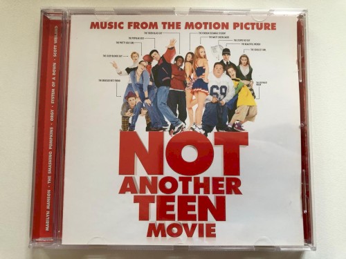 Not Another Teen Movie