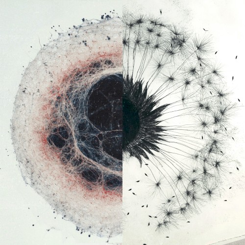 dandelions
