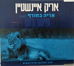 אריה בחורף