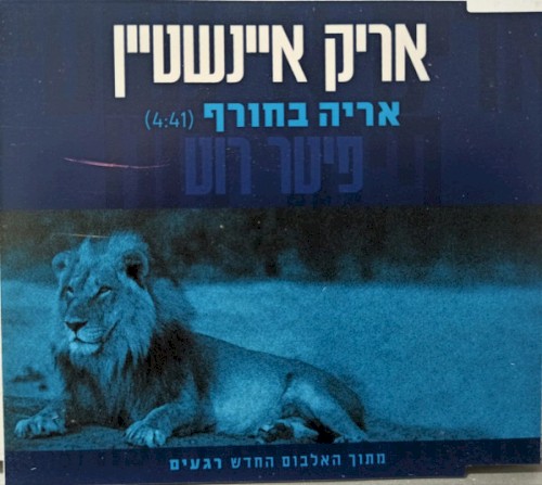 אריה בחורף