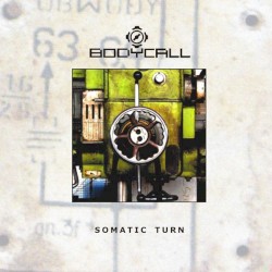 Somatic Turn