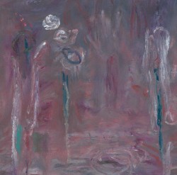 Praya Dubia