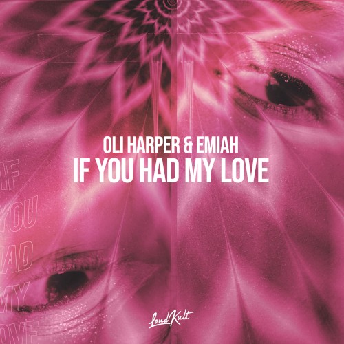 If You Had My Love