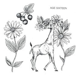 Discography