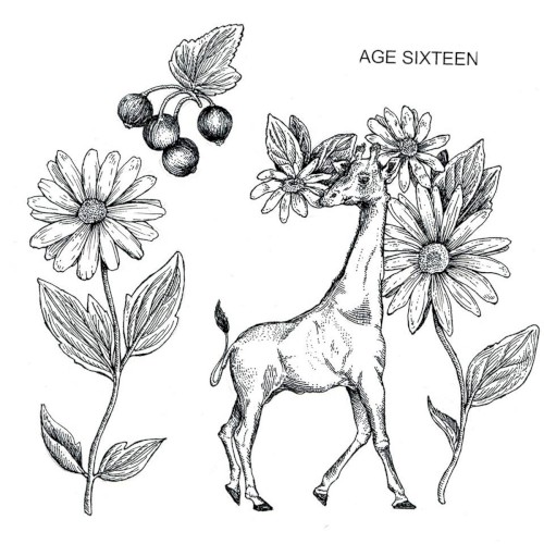 Discography