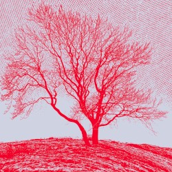 Baum