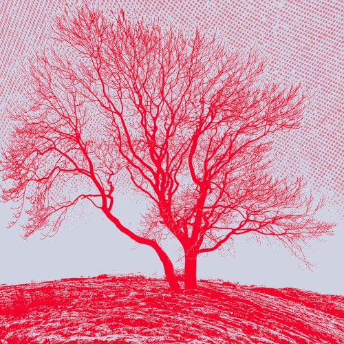 Baum