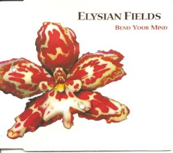 Bend Your Mind